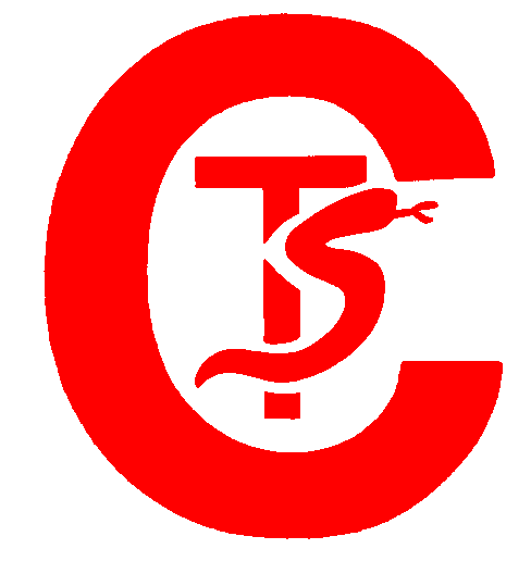 CTS Central Trading Service